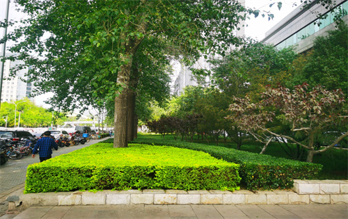 寰太大厦实拍图1