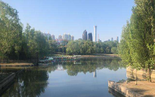 中信大厦实拍图3