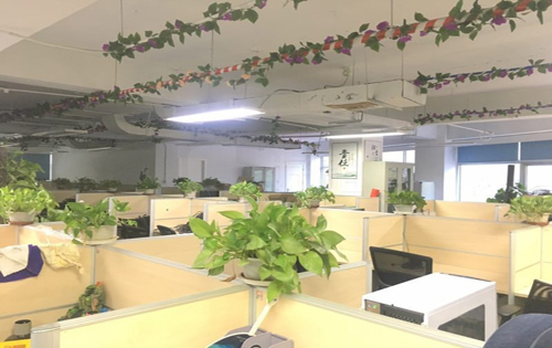 奇迹大厦实拍图1