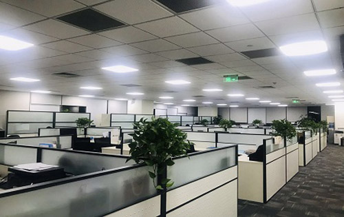 盈科中心实拍图3