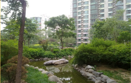 五栋大楼实拍图1